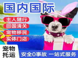 温州空运代理国际宠物托运 【国